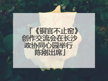 《铜官不止窑》创作交流会在长沙政协同心园举行 陈刚出席