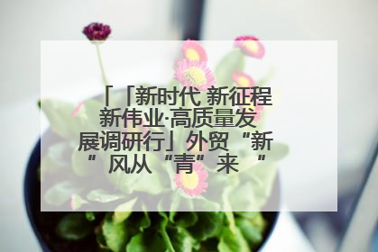 「新时代 新征程 新伟业·高质量发展调研行」外贸“新”风从“青”来 “双向奔赴”启新程