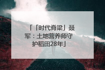 「时代脊梁」聂军：土地营养师守护稻田28年