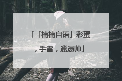 「楠楠自语」彩蛋，手雷，邋遢帅