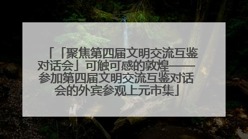 「聚焦第四届文明交流互鉴对话会」可触可感的敦煌——参加第四届文明交流互鉴对话会的外宾参观上元市集