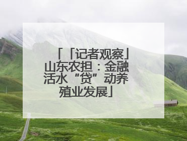 「记者观察」山东农担：金融活水“贷”动养殖业发展