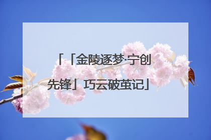 「金陵逐梦·宁创先锋」巧云破茧记