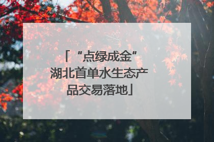 “点绿成金” 湖北首单水生态产品交易落地