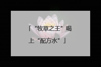 “牧草之王”喝上“配方水”