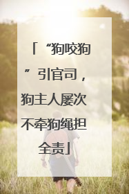 “狗咬狗”引官司，狗主人屡次不牵狗绳担全责