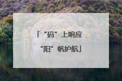 “码”上响应 “阳”帆护航