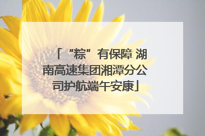 “粽”有保障 湖南高速集团湘潭分公司护航端午安康