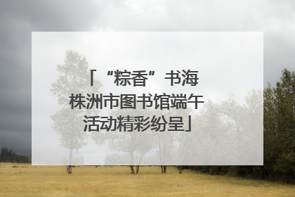 “粽香”书海 株洲市图书馆端午活动精彩纷呈