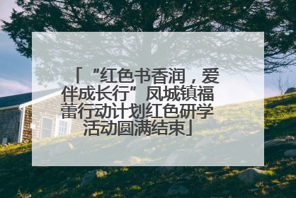 “红色书香润，爱伴成长行”凤城镇福蕾行动计划红色研学活动圆满结束