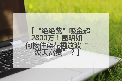 “绝绝紫”吸金超2800万！昆明如何接住蓝花楹这波“泼天富贵”？