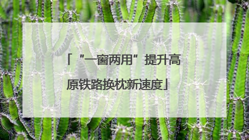 “一窗两用”提升高原铁路换枕新速度