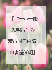 “一带一路·光明行”为蒙古国白内障患者送光明