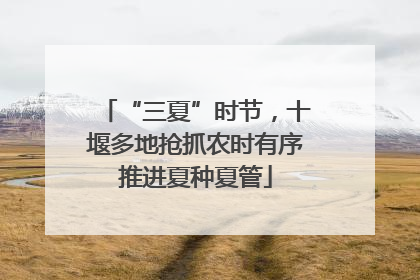 “三夏”时节，十堰多地抢抓农时有序推进夏种夏管