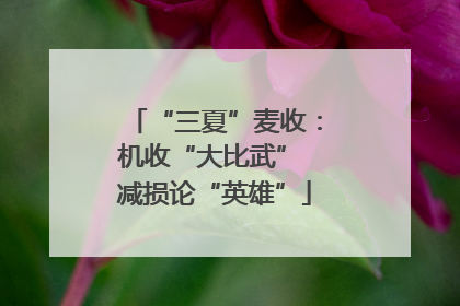 “三夏”麦收：机收“大比武” 减损论“英雄”
