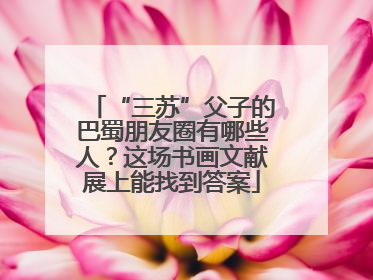“三苏”父子的巴蜀朋友圈有哪些人？这场书画文献展上能找到答案