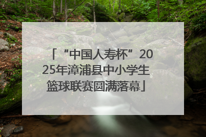 “中国人寿杯”2025年漳浦县中小学生篮球联赛圆满落幕