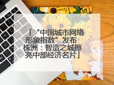 “中国城市网络形象指数”发布 株洲：智造之城擦亮中部经济名片