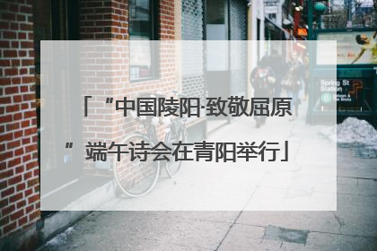 “中国陵阳·致敬屈原”端午诗会在青阳举行