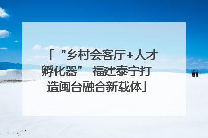 “乡村会客厅+人才孵化器” 福建泰宁打造闽台融合新载体