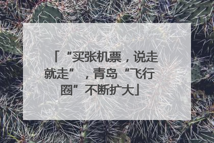 “买张机票，说走就走”，青岛“飞行圈”不断扩大