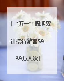 “五一”假期累计接待游客59.39万人次