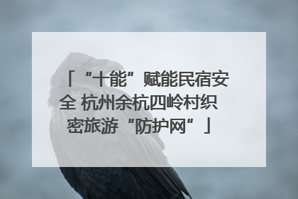 “十能”赋能民宿安全 杭州余杭四岭村织密旅游“防护网”