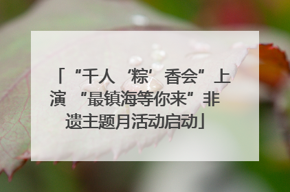 “千人‘粽’香会”上演 “最镇海等你来”非遗主题月活动启动