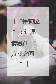 “停狗位 ”：让温情藏在 “方寸之间 ”