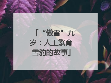 “傲雪”九岁：人工繁育雪豹的故事