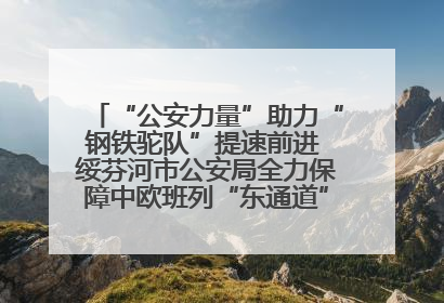 “公安力量”助力“钢铁驼队”提速前进 绥芬河市公安局全力保障中欧班列“东通道”绥芬河隧道贯通