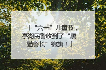 “六一”儿童节，亭湖民警收到了“黑猫警长”锦旗！