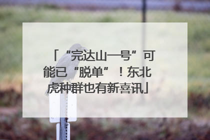“完达山一号”可能已“脱单”！东北虎种群也有新喜讯