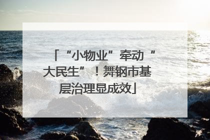 “小物业”牵动“大民生”！舞钢市基层治理显成效