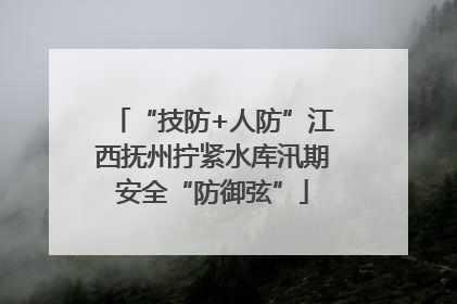 “技防+人防”江西抚州拧紧水库汛期安全“防御弦”