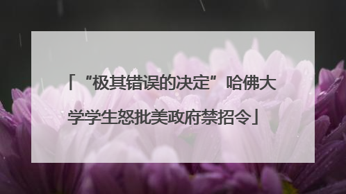 “极其错误的决定”哈佛大学学生怒批美政府禁招令