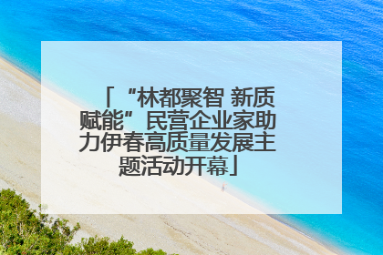 “林都聚智 新质赋能”民营企业家助力伊春高质量发展主题活动开幕