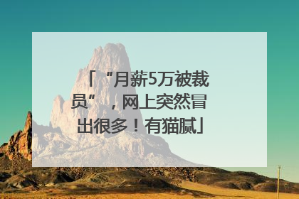 “月薪5万被裁员”，网上突然冒出很多！有猫腻