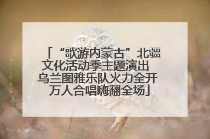 “歌游内蒙古”北疆文化活动季主题演出 乌兰图雅乐队火力全开 万人合唱嗨翻全场