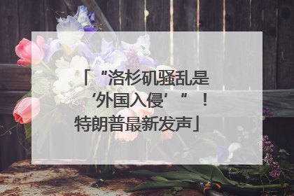 “洛杉矶骚乱是‘外国入侵’”！特朗普最新发声
