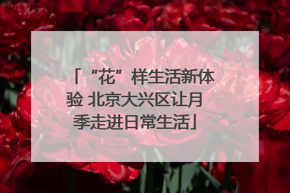 “花”样生活新体验 北京大兴区让月季走进日常生活
