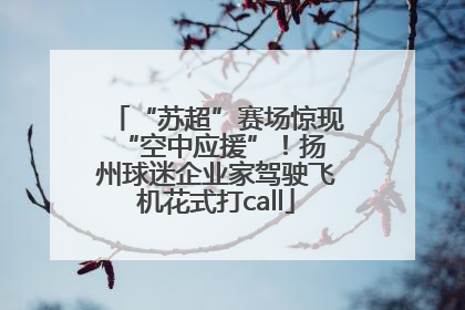 “苏超”赛场惊现 “空中应援”！扬州球迷企业家驾驶飞机花式打call