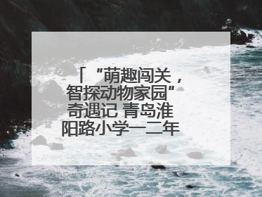 “萌趣闯关，智探动物家园”奇遇记 青岛淮阳路小学一二年级项目化乐考