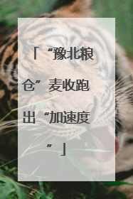 “豫北粮仓”麦收跑出“加速度”