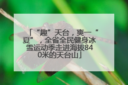 “趣”天台，爽一“夏”，全省全民健身冰雪运动季走进海拔840米的天台山