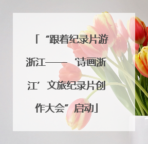 “跟着纪录片游浙江——‘诗画浙江’文旅纪录片创作大会”启动