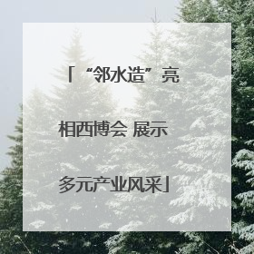“邻水造”亮相西博会 展示多元产业风采