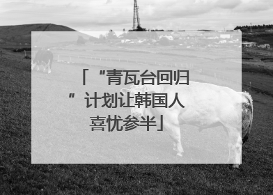 “青瓦台回归”计划让韩国人喜忧参半