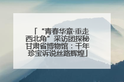 “青春华章·重走西北角”采访团探秘甘肃省博物馆：千年珍宝诉说丝路辉煌