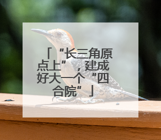 “长三角原点上”，建成好大一个“四合院”